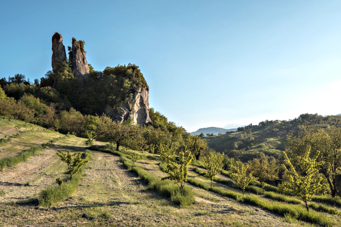 Trail Workshop · Forza per il trail